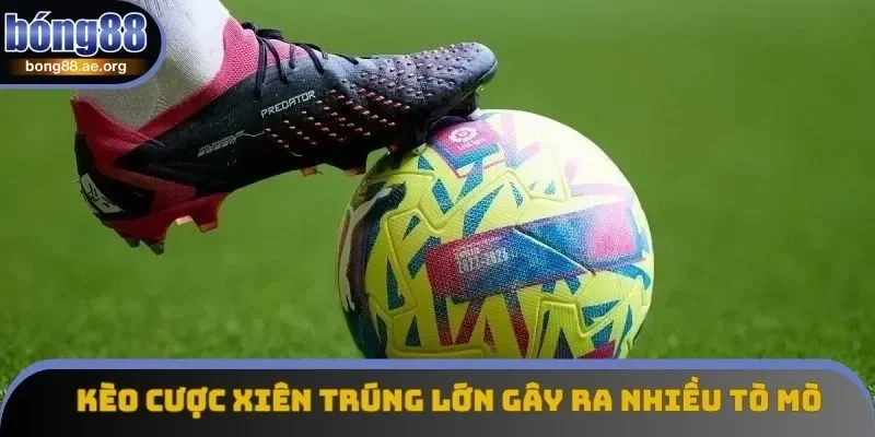 Kèo cược xiên trúng lớn gây ra nhiều tò mò